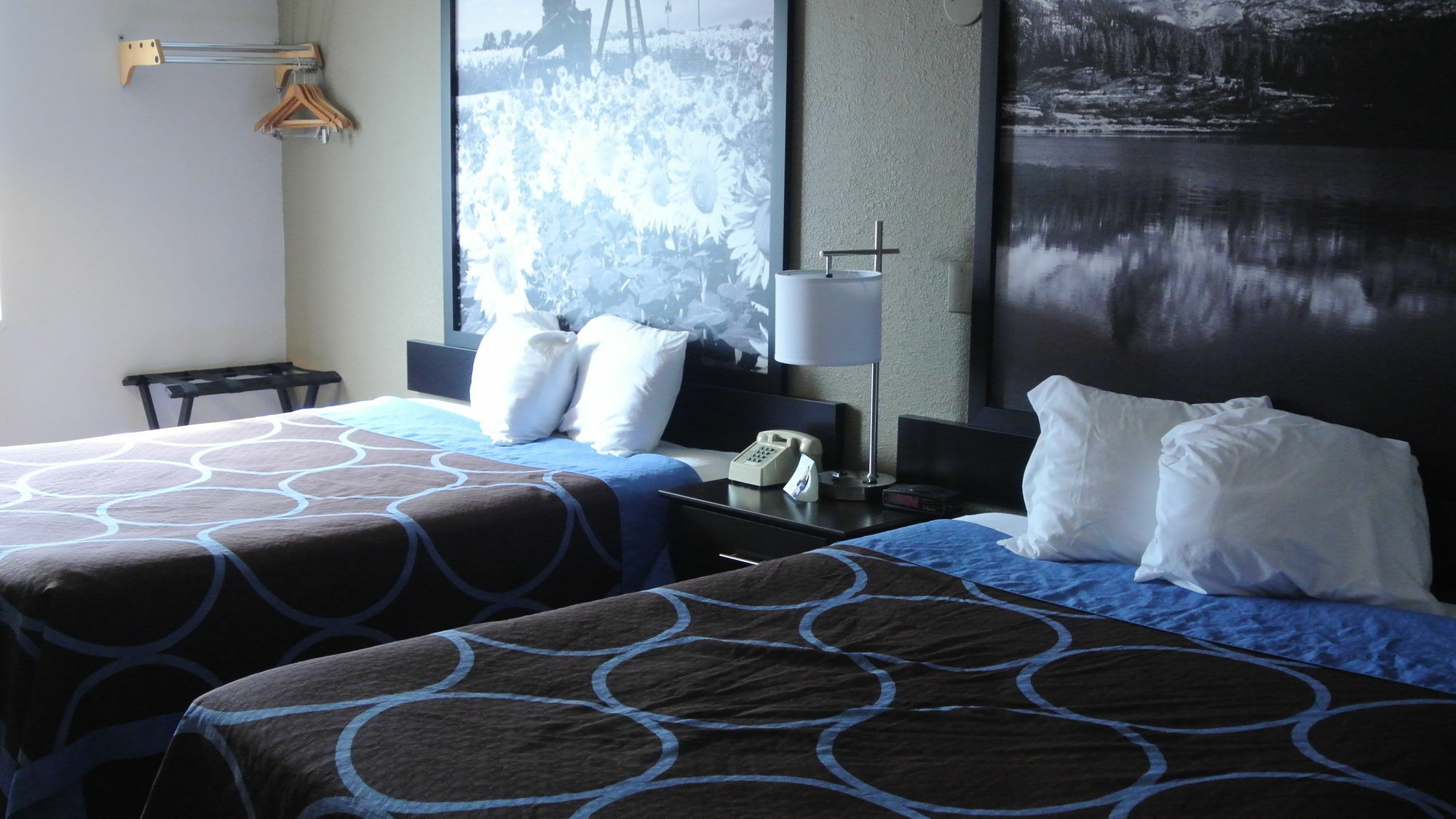 Super 8 By Wyndham Cortez/Mesa Verde Area Ngoại thất bức ảnh